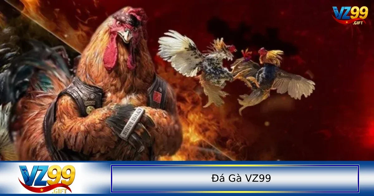đá gà VZ99 3 Top những nền tảng chơi đá gà uy tín nhất hiện nay